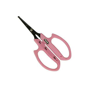 T{e B-6 ۃtbfԂǂ B6