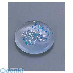 RHSP101 KXی^u  MG|SRB 4560342476278 RɎq GYWp KXی^u KXی^u