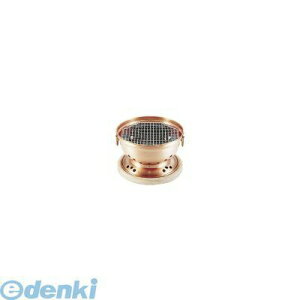 QMZ19  YpR t 4582225497569 ƕP ؑt  ATqTbh YpR TKG