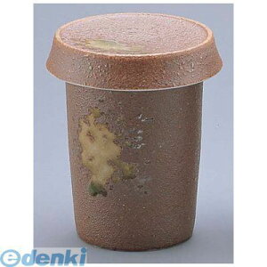 RSK6701 Zɉq D02|16 4560342470382 GYWp TKG 