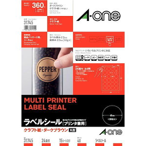 A-one G[ 31745 xV[mv^pnNtgE_[NuE@A4@ی^@24ʁ@15V[g