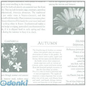 TTK ^J 49-1420  J[fBAO[ ˔ 491420 bsOy[p[ MtgbsO  bsOpi  IV 킢 pi