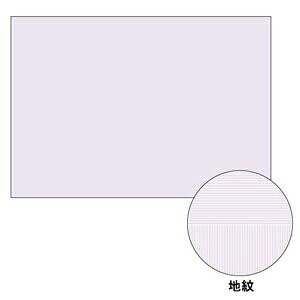 qTS BP2111 A3Rs[ʗpy100z