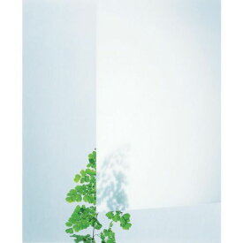 【即納在庫品】「直送」光 AC32334 アクリルキャスト板 乳白半透明 3X300X450 穴ナシ アクリル板