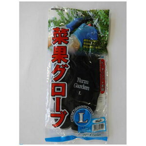 L{V 4951167431120 GS 4311|L ؉ʃO[uyLz ubN  K[fjO H |  _ _ KINBOSHI ؉ʃO[uubNyLZsz