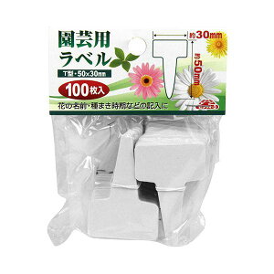 4977292639491 ZteB|3 |px T^100 VE Y