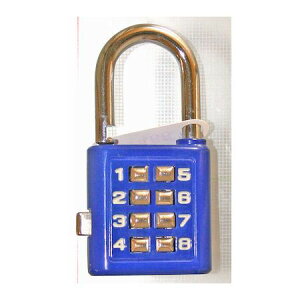 aCY 4903757272613 TW|912 vbV{^bN  WAKI AI