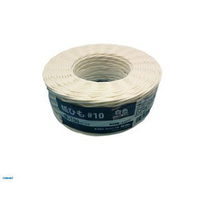 PROMOTE プロモート 4516474800504 #10x100 DS_Line 紙ひも 白