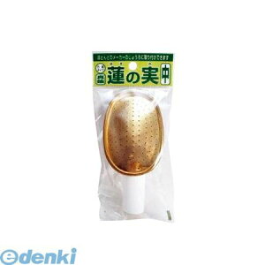 y 4905891210889 W[py@̎z ^JyLZsz