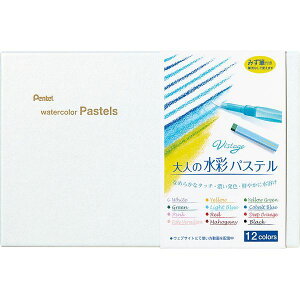 o ؂Ă GHW1-12 ʃpX12FE݂Mt GHW112 l̐ʃpXe Vistage BX^[W Vistagel̐ʃpXe