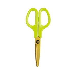 vX 4977564613280 tBbgJbgJ[u SC|175STW AO[