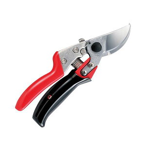 y11/25IIōő100|CgobNz4965280679291 AX  VS7 [^[ VS|7R uCGXZu[^[ AXR[|[V AXuCGXZu[^