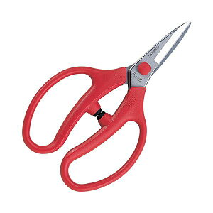 4965280995414 AX  to16 FL|16|BP AXR[|[V ARS Ԃ͂ Ԃ͂݃to