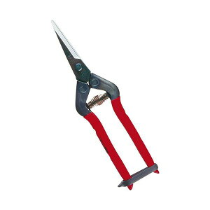 4967645011364 `J}T ؁EE T|55CH ߐ {E|p ؓE ͂ |nT~ |pi |