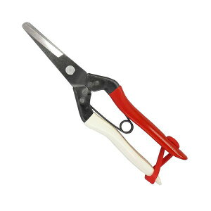 y11/25IIōő100|CgobNz4968779306005 P ʔK NOD306  okatune ʂ˂ ʔK|͂ݍ̎ okatsune