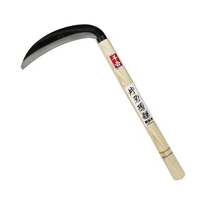 4977292604031 g Аn 180mm SENKICHI J} gАn 芙 | pi Y |pi   S|   ނ  | ƒ؉  K[fjO 