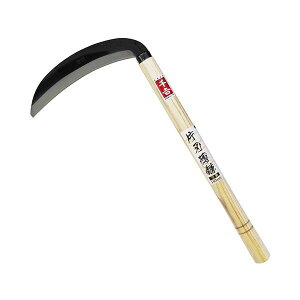 4977292604048 g Аn 195mm SENKICHI J} gАn 芙 | |pi Y pi  S|    ނ  | ƒ؉  K[fjO 