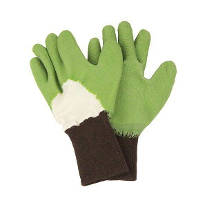 4977292665728 ZteB|3 gQɂ GR L O[ |pi o̎Ȃǂ GRL