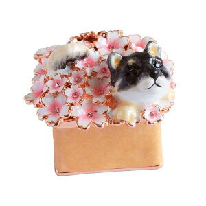 4562312706668 y2zĂƂ EX510|0yLZsz ANZT[P[X Ă낳 nhCh CeA sBA[X 