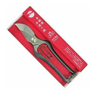 y݌ɐ؂zy[z4991579015037 ѐ {b 葢 225mm B|3 zH  ŕ nT~ p y E | |pi K[fjOpi K[f n y 뉀 ̉ E 