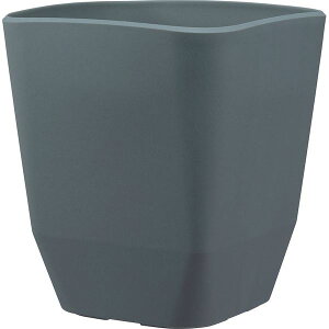 AbvEFA[ 4905980115125 AgGXNGA 290^DG _[NO[ Jo[ v^[nK[ yʂŊɂ vX`bN vXeBbN