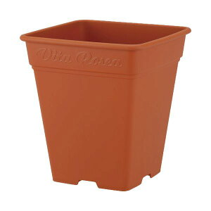 AbvEFA[ 4905980312036 [AXNGA260^BR uE AbvEGA[ apple K[fjOpi vX`bN |pi v op Aؔ F [^