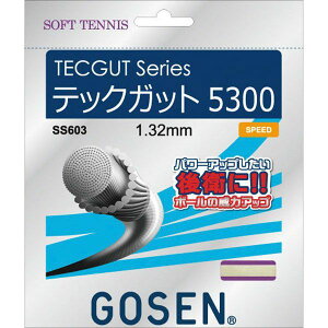 4906365031009 S|Z ebNKbg 5300 i` SS603 GOSEN S[Z TECGUT \tgejX