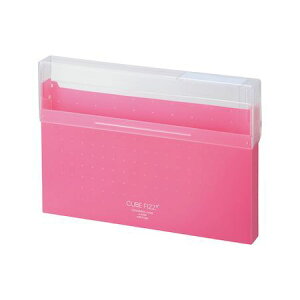 o qgu LIHIT LAB. A6024-12 ROXP[X@A4@sN A602412 FIZZ CUBE SOXP[X t@CP[X