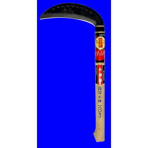 zEl~L H-066 n؊165mmX330~