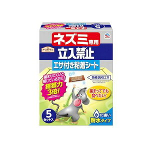 A[X 4901080047519 lY~p֎~ GTtSV[g 5Zbg