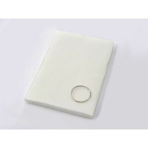 (LINE�N�[�|���L)�f�C�g�i DAYTONA 96248 �v���Z���E�[��M 250mm×700mm �v���Z���E�[��M�T�C�Y �����O���X�E�[��