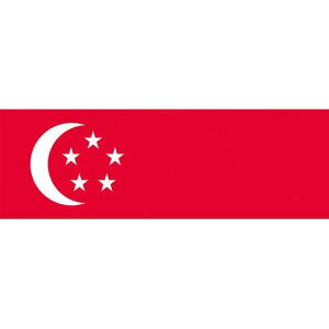 (LINE�N�[�|���L)�y���[�݌ɕi�z�u�����v�������� 406326 ���� 16×24cm �V���K�|�|��