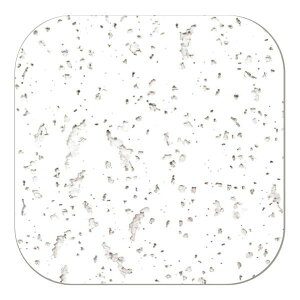 qTS 4902668607682 OP4005 V{[h̕CɁI VV[ \[g Se[v Ce[v