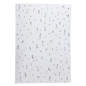 aCY 4903757319271 VV[ Wvg[p A4 1pbN 10