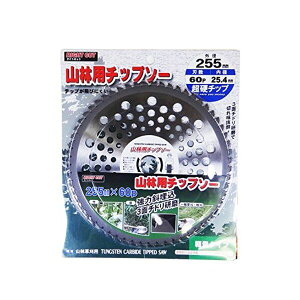 4534893902777 n[gtWp CgJbg Rїp`bv\[ 255×60P