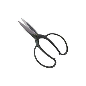 y11/25IIōő100|CgobNzgn쏊 4939133112037 @ A؉  JV NoD203 A 90mm