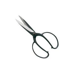 y11/25IIōő100|CgobNzgn쏊 4939133412045 @ A؉  lW NoD204 120mm