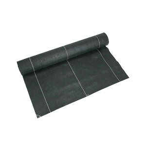 4977292657365 ZteB|3 xhV[g  0D5X10m