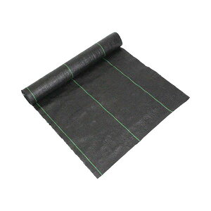 4977292663632 ZteB|3 xhV[g  0D5MX10M