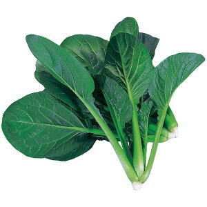 アーテック ArTec 102967 水耕栽培ユニット ベビーコマツナ