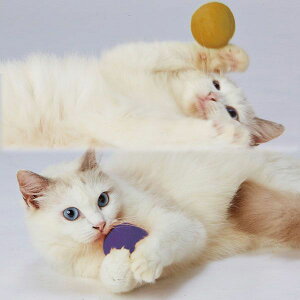 (LINE�N�[�|���L)�y�e�B�I 4903588261428 �E�[���{�[���C�G���[�p�[�v��