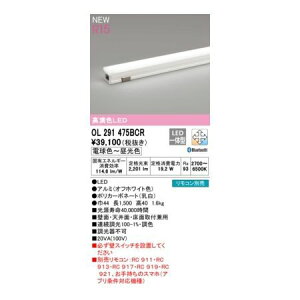 (LINE�N�[�|���L)�I�[�f���b�N ODELIC OL291475BCR LED�ԐڏƖ�