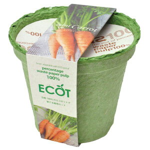 V| 4528757025023 GRbg M ɂ񂶂 GD-41102yLZsz