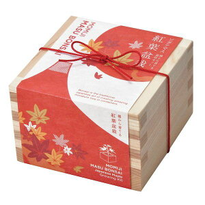 V| 4528757037125 \_e}X ~̓Zbg ݂ GD-84603yLZsz