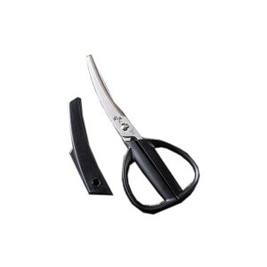 L 4901601174779 ֑Z J[uLb` Lbvt #000DH3347yLZsz