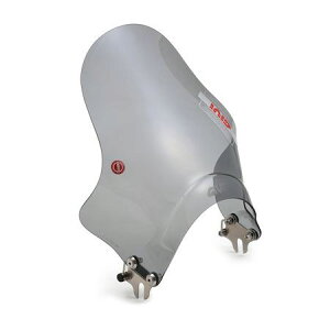 fCgi DAYTONA 22988 GIVI Wr oCNp XN[ ėp wbhCgXe[Nv Z~X[N A201 ^EChXN[