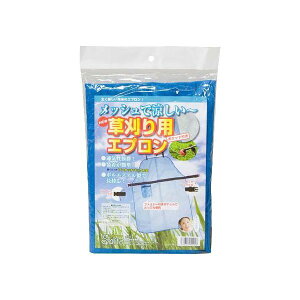 4560346900908 ֓Q bVpGv t[TCY u[