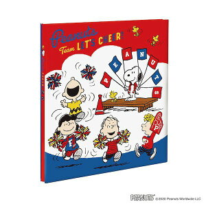 iJoV A-LP-149 vR[g t[ L^Xk[s[ bh