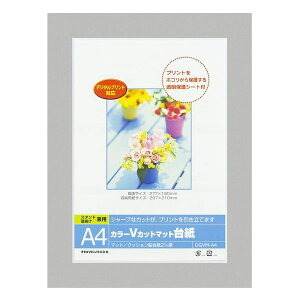 y11/25IIōő100|CgobNziJoV DGVM-A4-N/V J[VJbg䎆A4^O[^V DGVMA4N/V