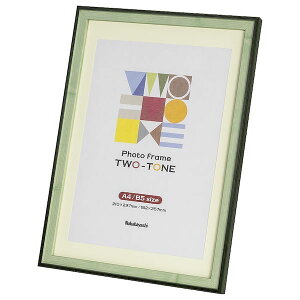 iJoV F-TMS-411-G/V c[g tHgt[ A4EB5 O[ FTMS411G/V